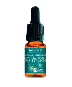 Star of Bethlehem (29) BIO, 10 ml